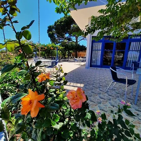 Pavlopetri Βιγκλάφια